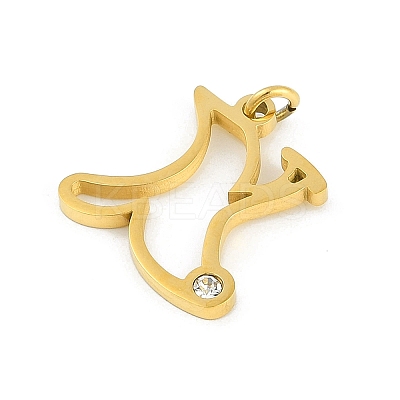 304 Stainless Steel Pendants STAS-R137-01G-X-1