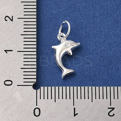 925 Sterling Silver Dolphin Charms STER-K180-09S-1