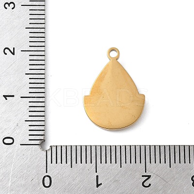 304 Stainless Steel Enamel Pendants LS-STAS-K312-06B-G-1