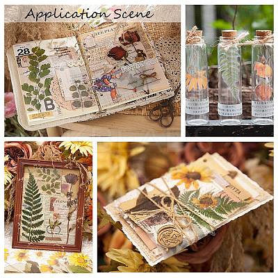 6Pcs Plant PET Adhesive Waterproof Stickers DIY-K074-01E-1