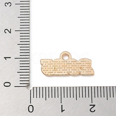 Alloy Enamel Pendants LS-ENAM-A008-13KCG-08-1