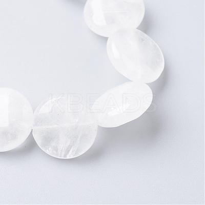 Natural Quartz Crystal Bead Strands G-R405-16mm-04-1