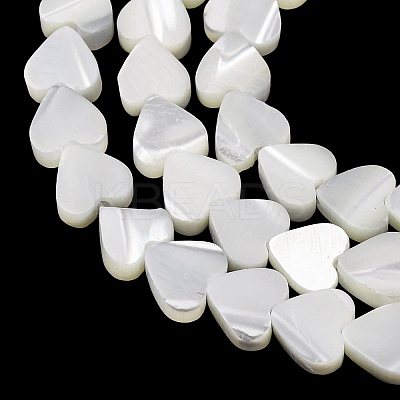 Natural Trochid Shell/Trochus Shell Beads Strands SH-CBA2978-19A-1