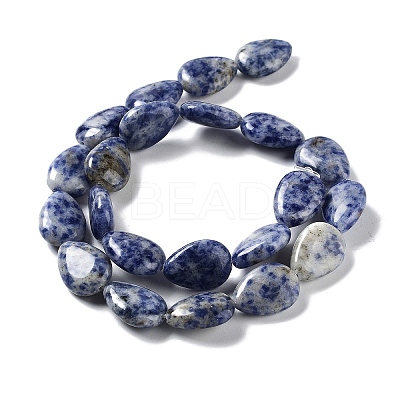Natural Blue Spot Jasper Beads Strands G-L242-33-1