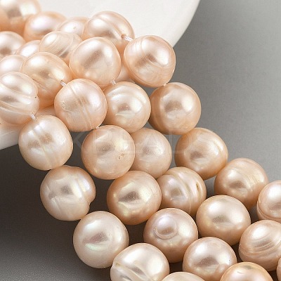 Natural Cultured Freshwater Pearl Beads Strands PEAR-C003-21D-1