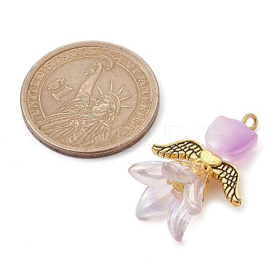 10Pcs Transparent Acrylic and Glass Pendants PALLOY-JF02446-1