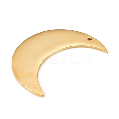 304 Stainless Steel Pendants STAS-L238-102A-G-1