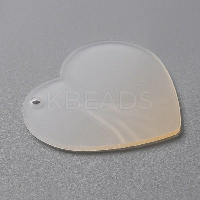 Gradient Transparent Acrylic Disc Big Pendants LS-FIND-WH0032-54D-1