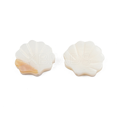 Natural Freshwater Shell Beads LS-X-SHEL-T007-02-1