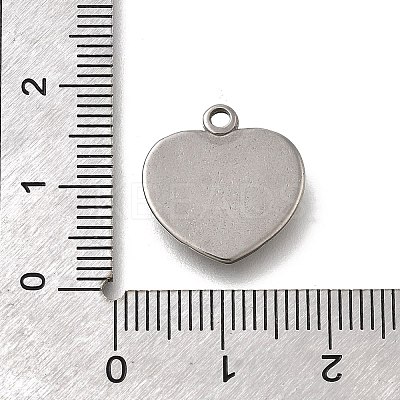 304 Stainless Steel Pendants STAS-C119-07P-1