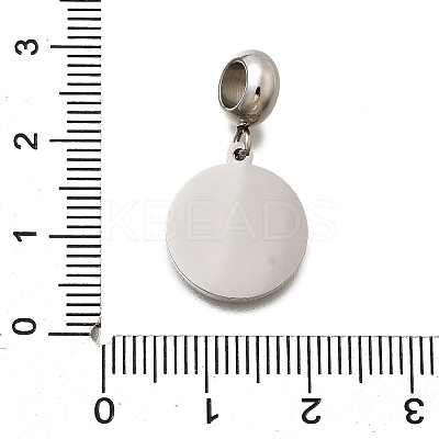 Jewelry 304 Stainless Steel European Dangle Charms OPDL-L013-40B-1