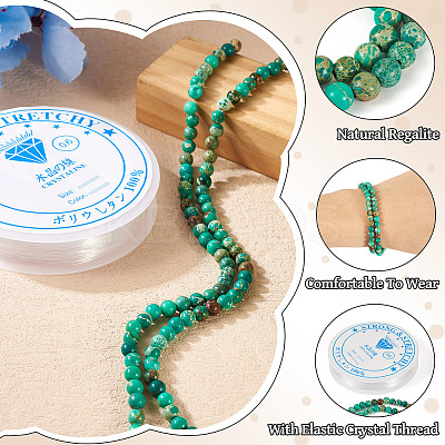 DIY Natural Regalite/Imperial Jasper/Sea Sediment Jasper Beads Bracelets  Making KIts DIY-TA0002-69C-1