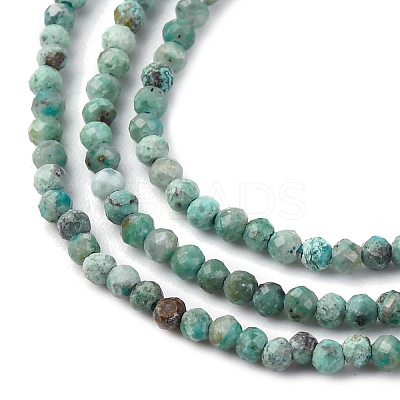 Natural HuBei Turquoise Beads Strands LS-G-RM2025-A11-2mm-1