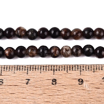 Natural Biotite Beads Strands G-Q616-01A-1