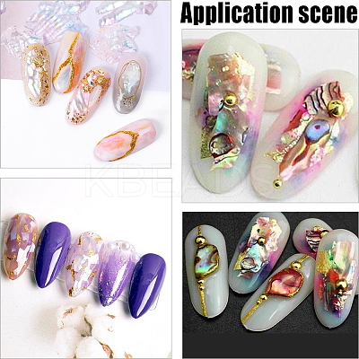 12 Colors Shell Chips Nail Art Decorations Accessories DIY-WH20002-669-1