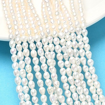 Natural Cultured Freshwater Pearl Beads Strands PEAR-C004-03-1