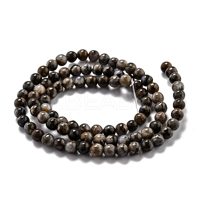 Natural Glaucophane Beads Strands G-O199-01A-1