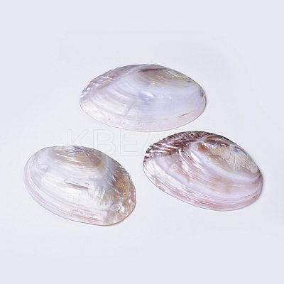 Natural Freshwater Pearl Shell Decoration SHEL-K002-01A-1