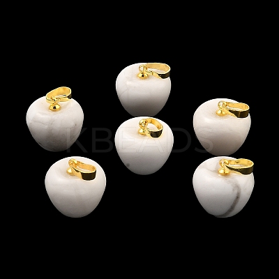 Natural Howlite Teacher Apple Charms G-Z022-02C-G-1