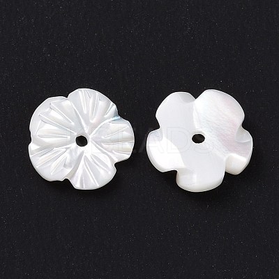 Natural Trochid Shell/Trochus Shell Beads SHEL-P014-02A-1