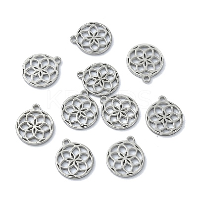 304 Stainless Steel Charms STAS-CJC0008-21P-1