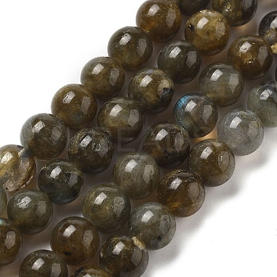 Natural Labradorite Beads Strands G-I253-01-1