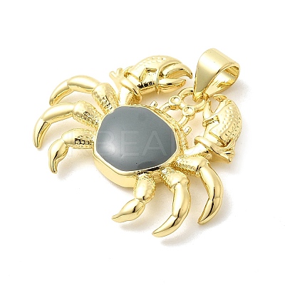 Brass Enamel Pendants KK-H529-44G-1
