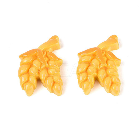 Opaque Resin Decoden Cabochons RESI-N051-08-1