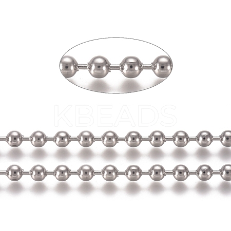 304 Stainless Steel Ball Chains CHS-E021-13G-P-1