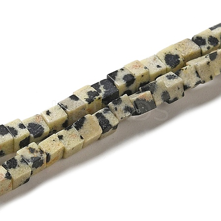 Natural Dalmatian Jasper Beads Strands G-B064-A11-1