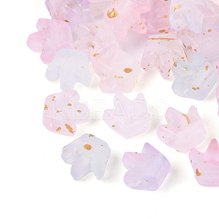 Frosted Transparent Acrylic Beads FACR-T009-01I-1