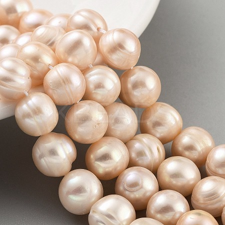 Natural Cultured Freshwater Pearl Beads Strands PEAR-C003-21D-1