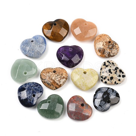 Natural Mixed Stone Pendants G-A281-01-1