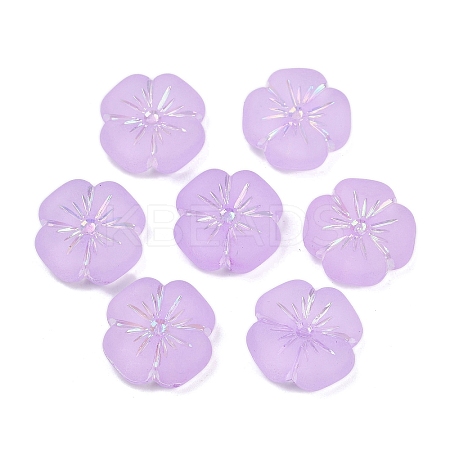 Frosted Transparent Acrylic Beads OACR-P029-19B-04-1