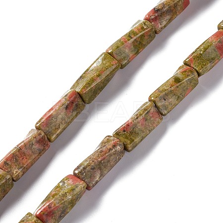 Natural Unakite Beads Strands G-L240-15-1