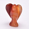 Natural Red Agate Home Display Decorations LS-DJEW-L009A-03-3
