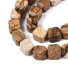 Natural Picture Jasper Beads Strands G-N353-03A-06-4