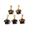 Natural Tiger Eye Charms G-N326-142-01-2