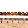 Natural Amber Beads Strands G-K376-H02-01-5