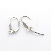 Tarnish Resistant 304 Stainless Steel Leverback Earring Findings LS-STAS-N036-02-1