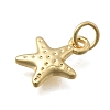 Brass Pendants KK-D431-022A-G-2