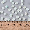 Frosted Glass Seed Beads SEED-N012-01D-4