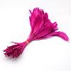 Fashion Goose Feather Costume Accessories FIND-Q040-21F-2