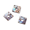 Sea Shell Connector Charms SSHEL-C008-17-1