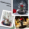 1Pc Glass Dome Cover AJEW-SC0002-60B-03-5