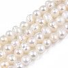 Natural Cultured Freshwater Pearl Beads Strands LS-PEAR-N013-04A-2
