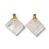 Natural Mixed Gemstone Perfume Bottle Pendants G-Z039-05G-2