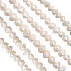 1 Strand Natural Cultured Freshwater Pearl Beads Strands PEAR-CA0001-15C-2