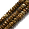 Natural Picture Jasper Beads Strands G-K343-C10-01-1