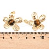 Natural Tiger Eye Pendants KK-H538-14G-3